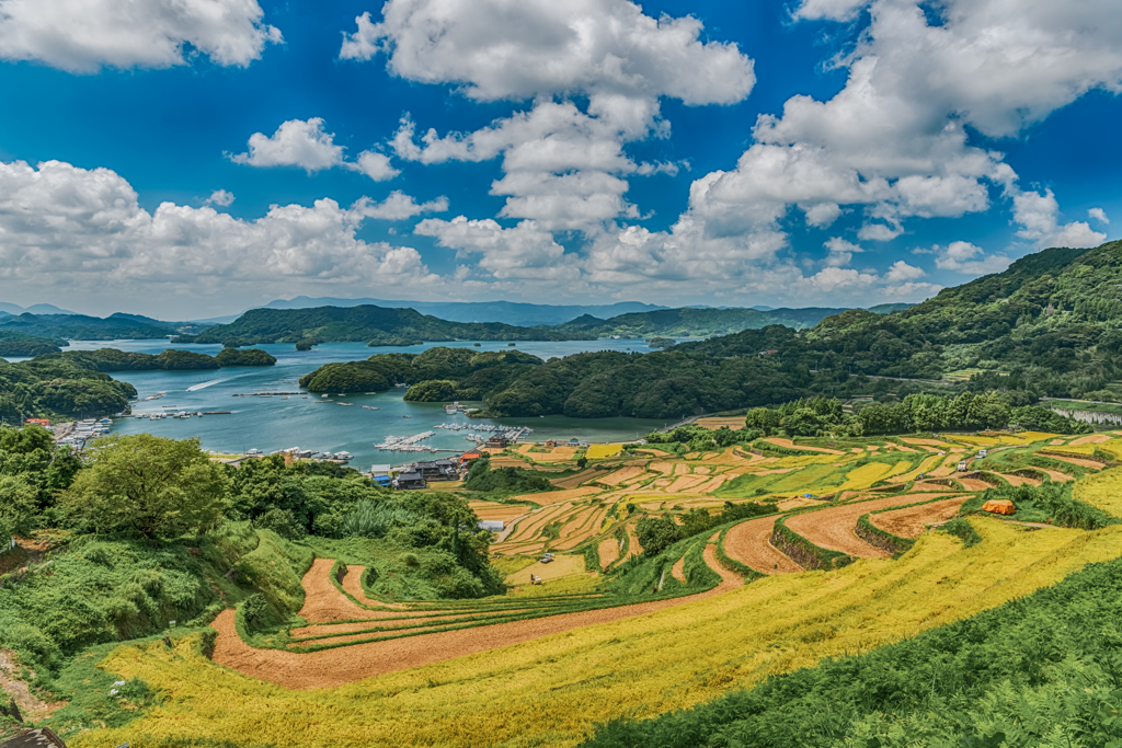 大浦の棚田-2