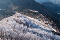 妙見の登りから仁田峠