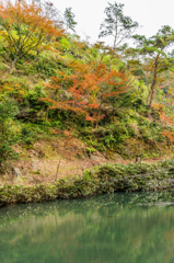 陶山神社裏の池と紅葉