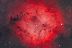 IC1396_2025.08.01