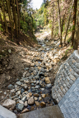 土石流の跡-1
