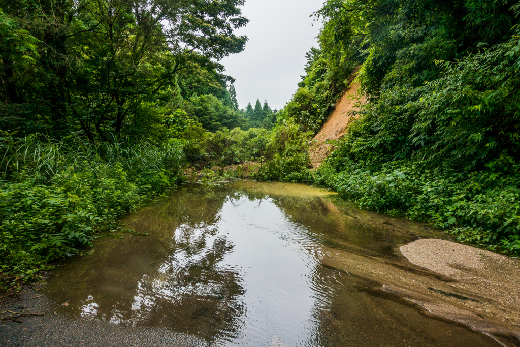 林道の水溜り