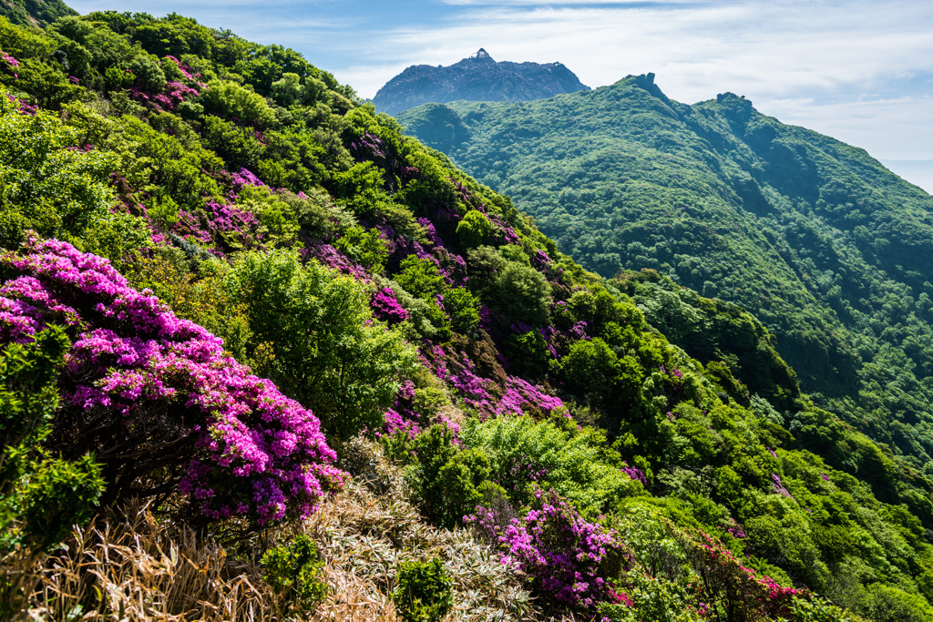 平成新山、普賢岳