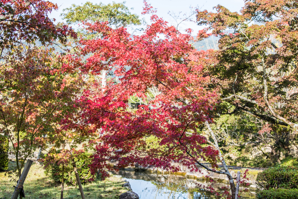 西渓公園-7