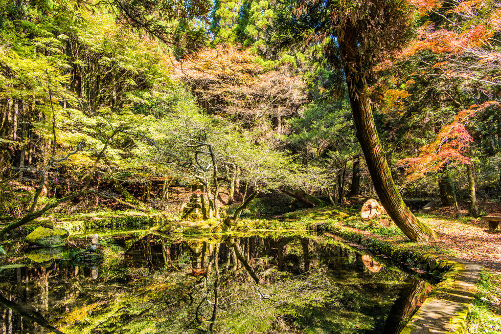 山吹水源-1
