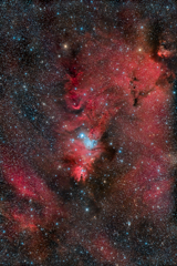 NGC2264_2017.12.20