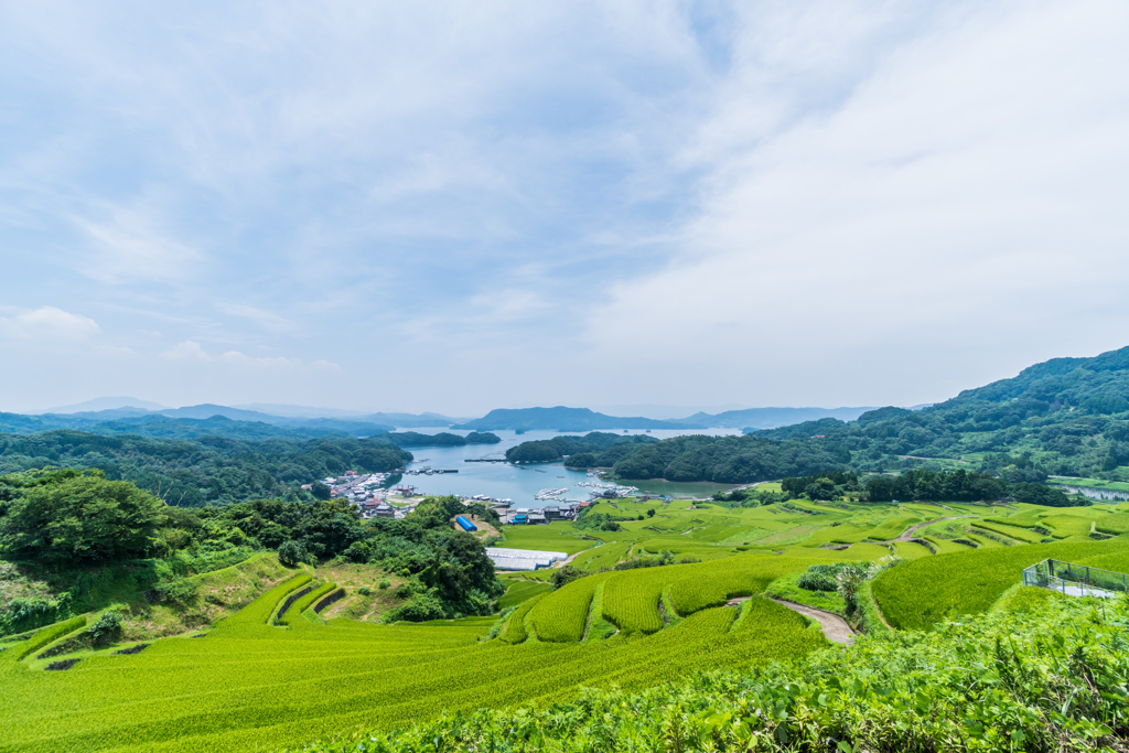 大浦の棚田-2