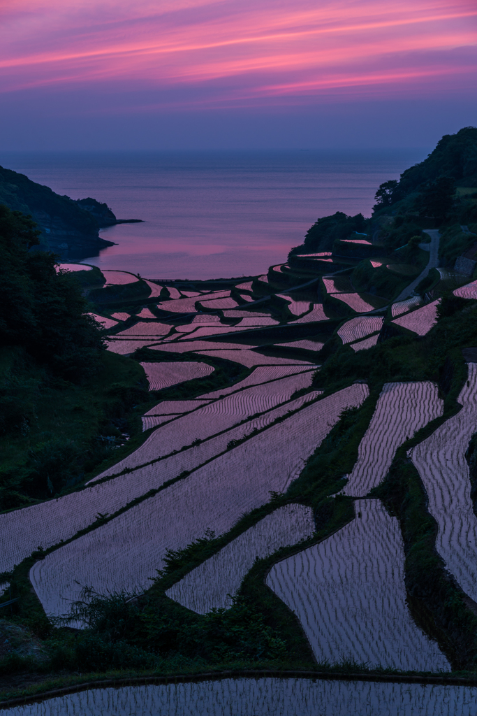 浜野浦2014.05.09-21