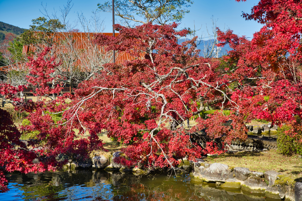 西渓公園-2