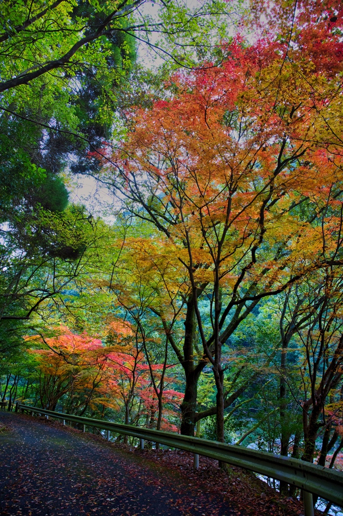 雄淵雌淵-1