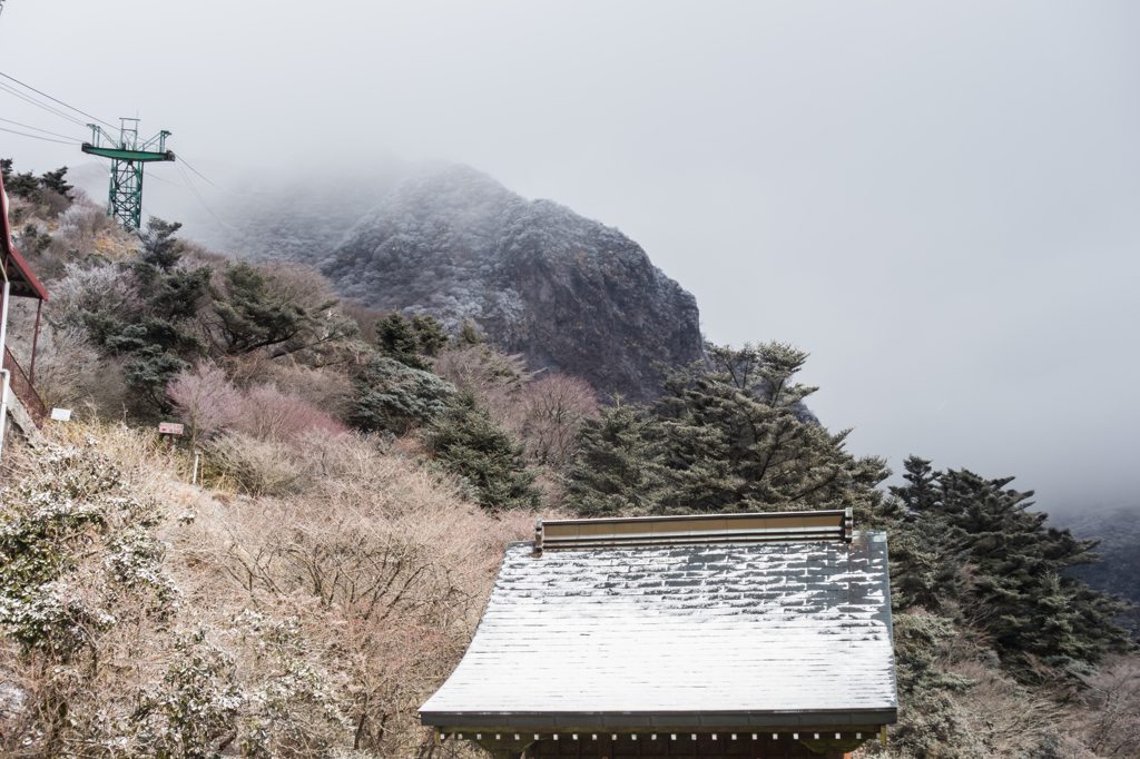 仁田峠に戻って