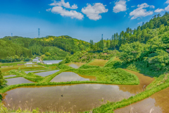 桑原の棚田
