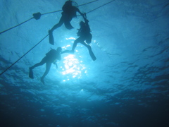 Diving Entry/Okinawa