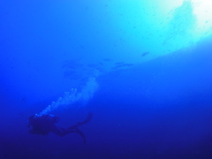 Panata1/Miyako Island