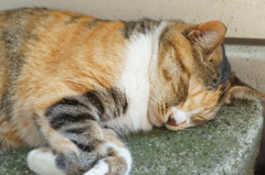 ぐっすり