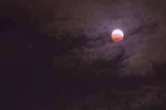 Bloody Moon 1
