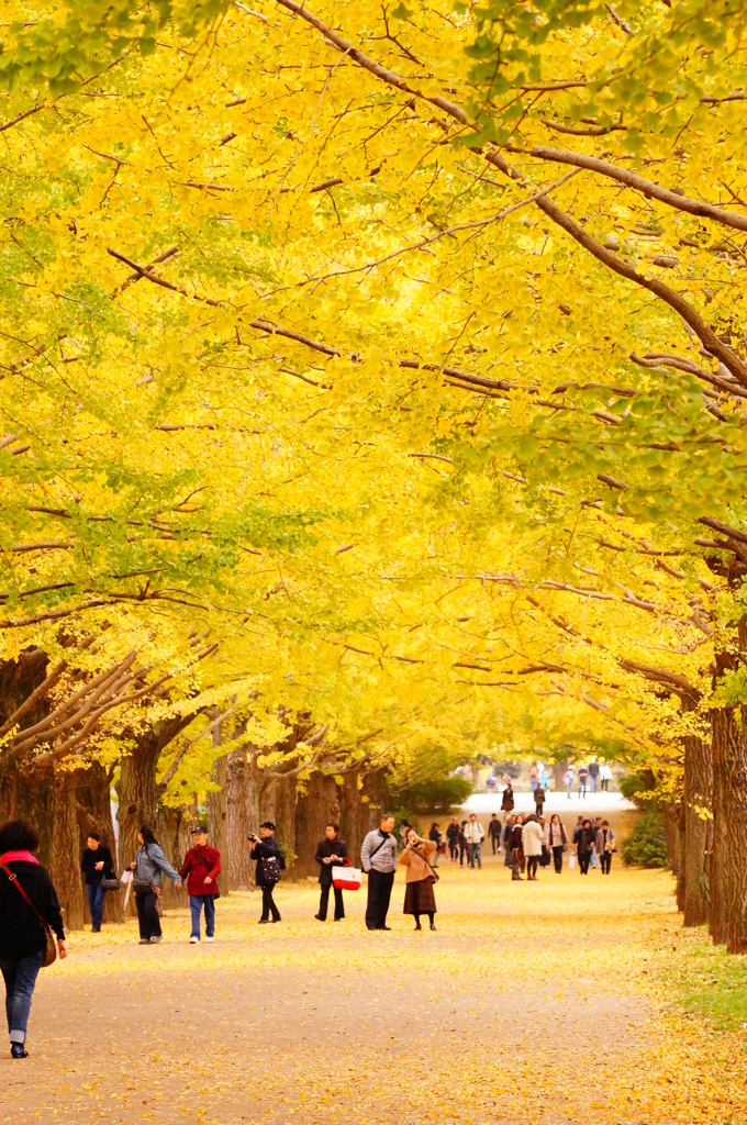 brilliant yellow road