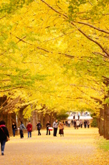 brilliant yellow road
