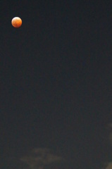 Bloody Moon 2