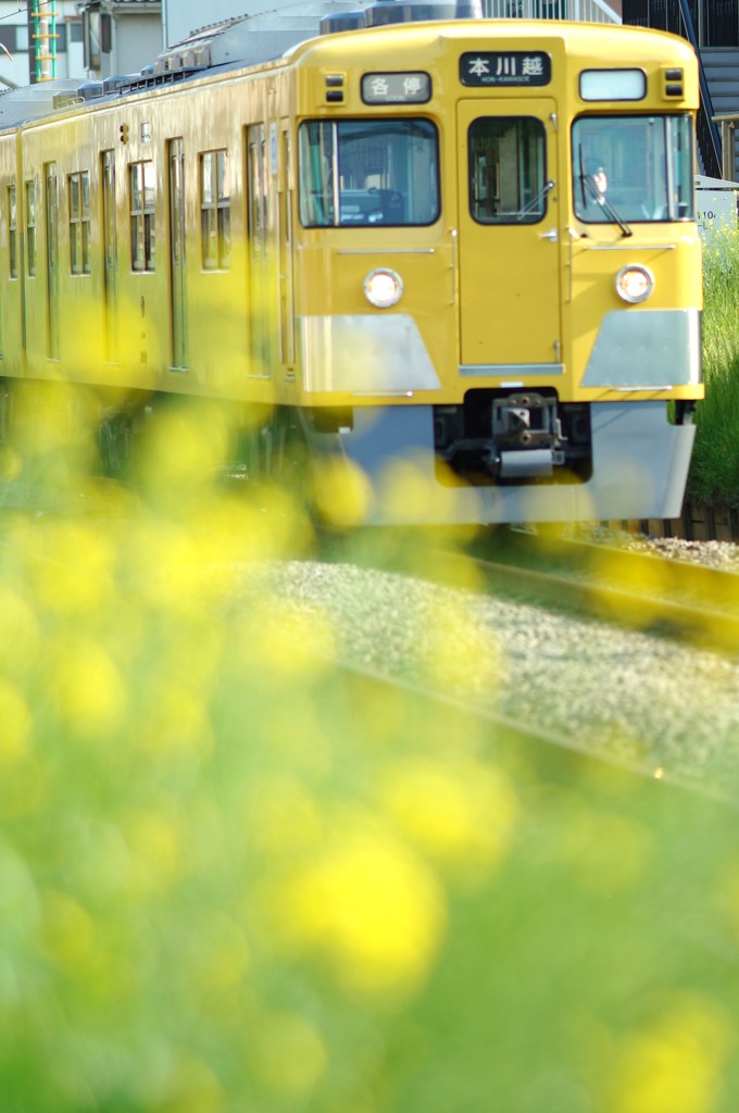 「spring train」