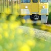 「spring train」