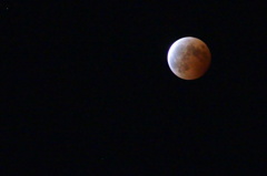 Bloody Moon 3