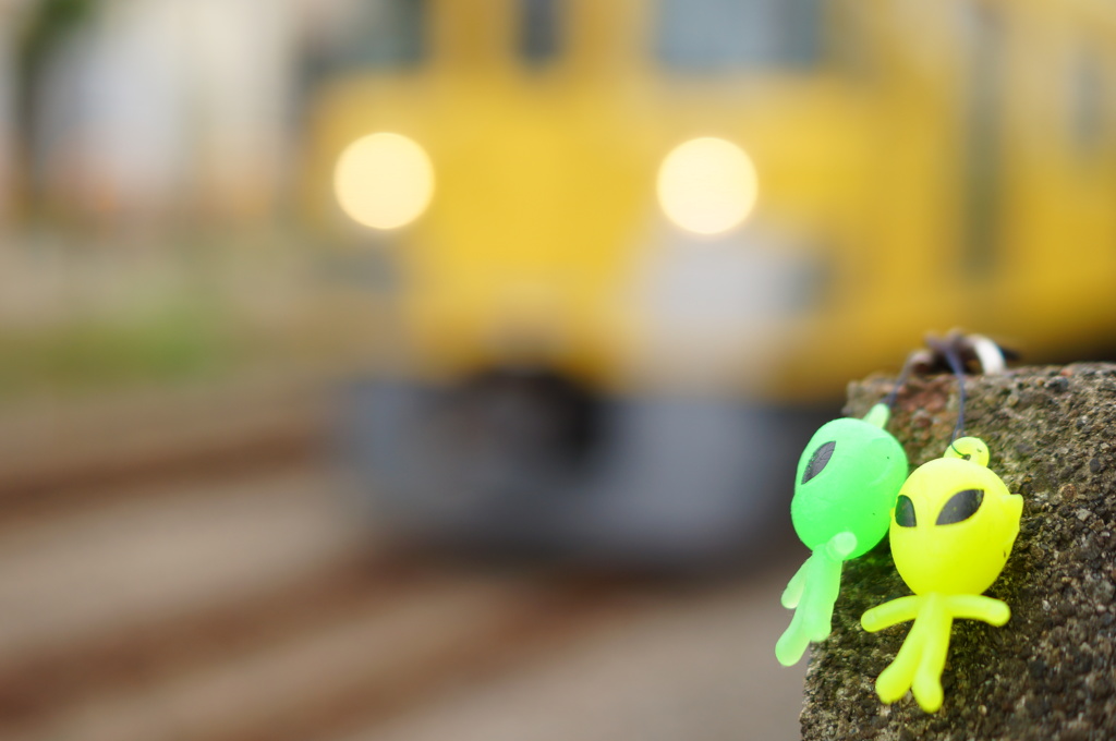 未知との遭遇
