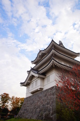 のぼうの城