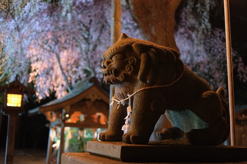 三島八幡神社　境内の狛犬