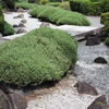 舞鶴城公園