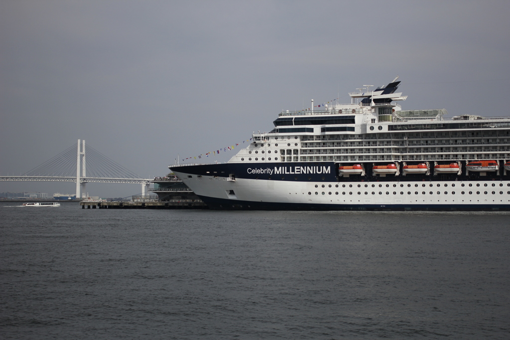 Celebrity Millennium