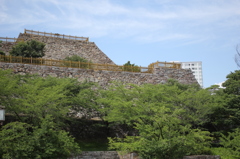 甲府城