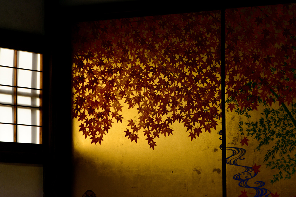 金の紅葉
