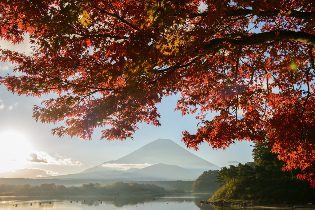 紅葉と富士山