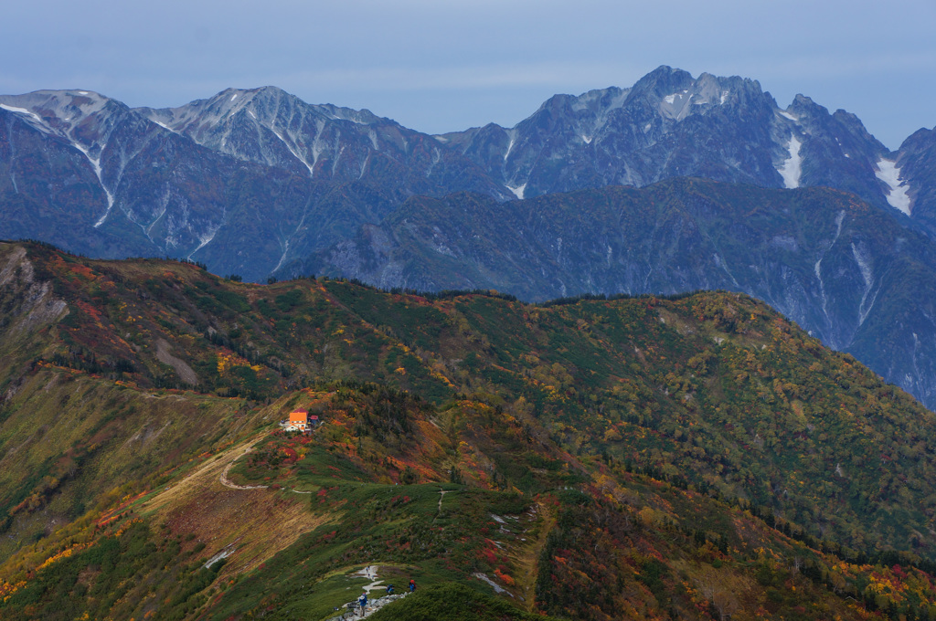 お山のおうち