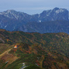 お山のおうち