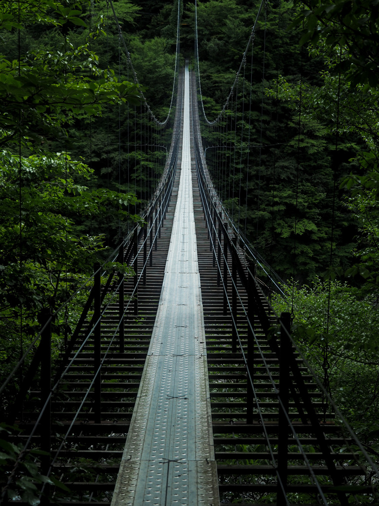 畑薙大吊橋