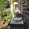 猫の特等席 #02