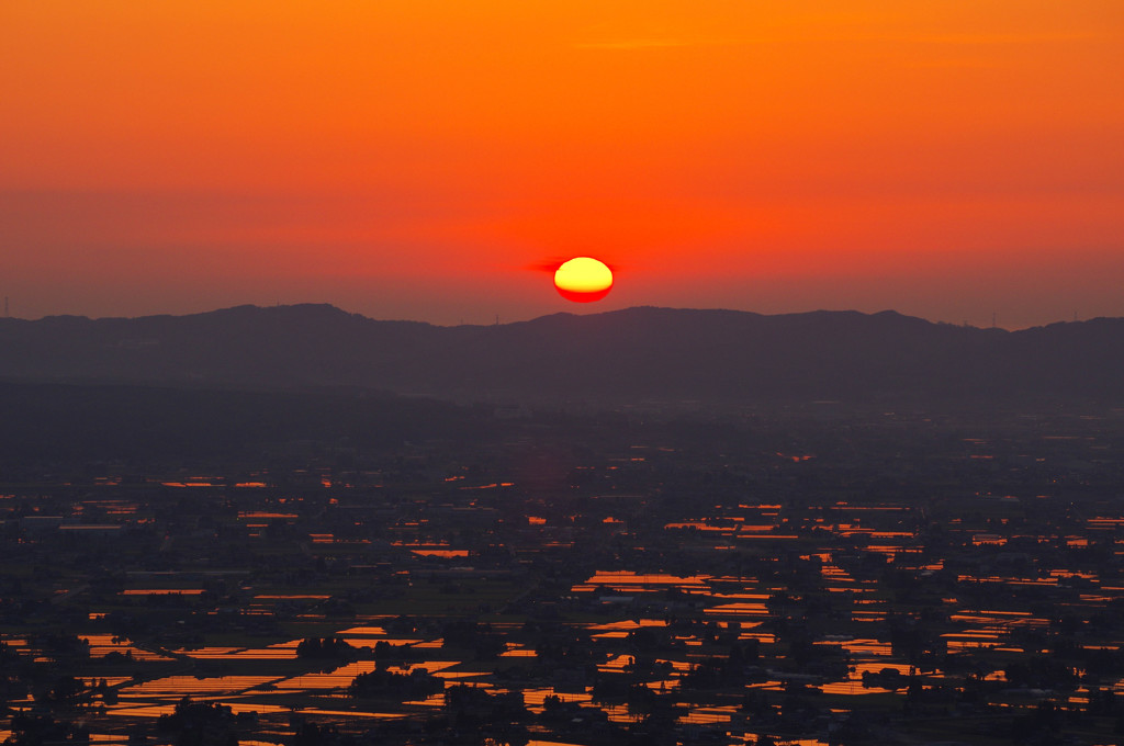 沈