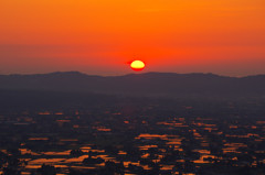 沈