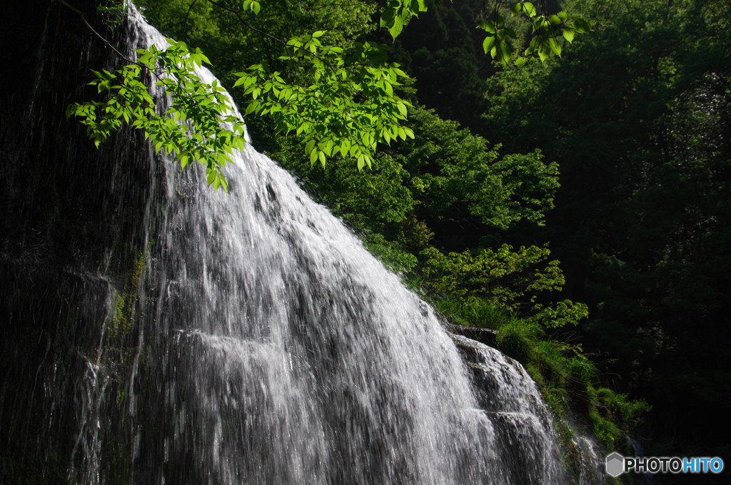 輝