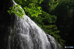 輝