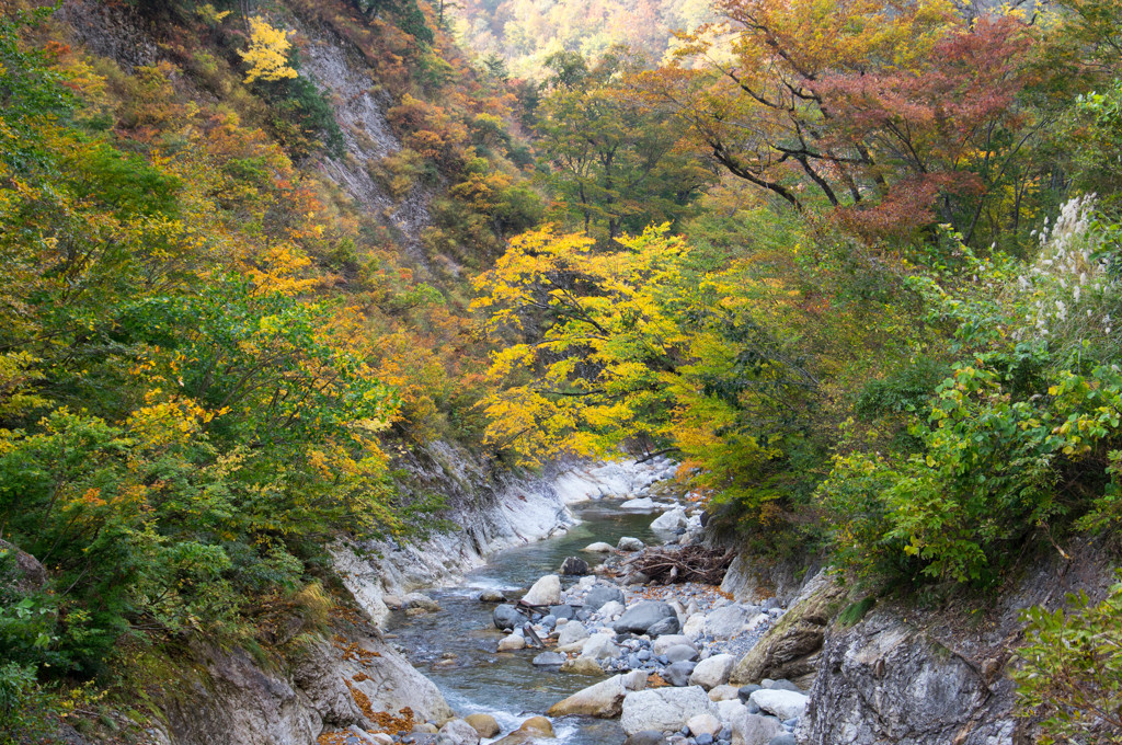 渓