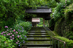 門
