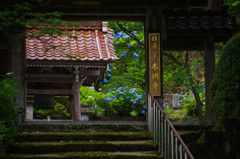 史