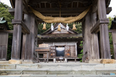 社