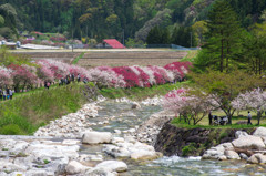景