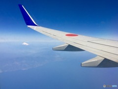 旅