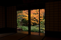 静