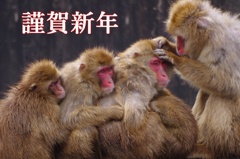 申